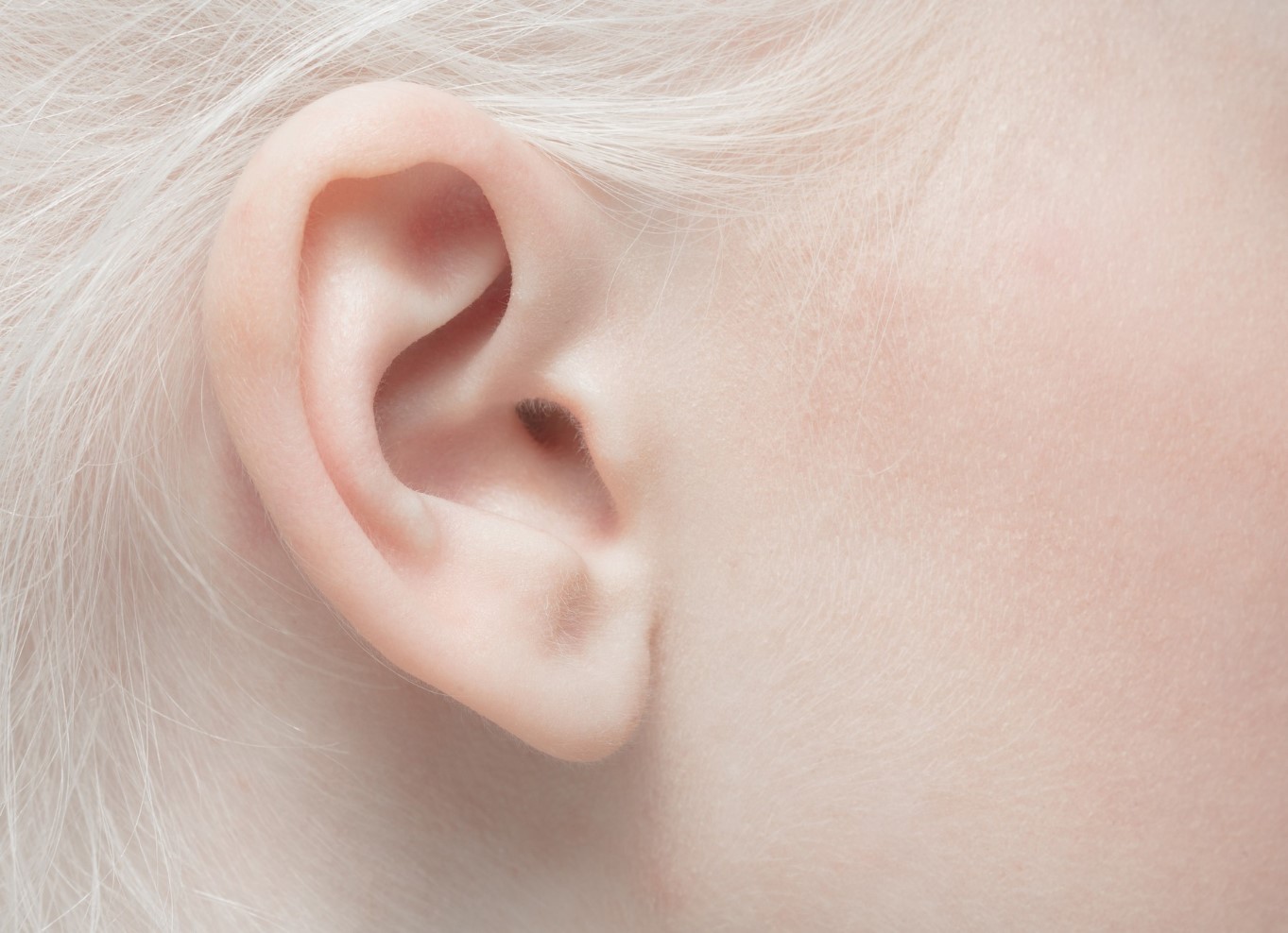 Stretched or Split Ear Lobe Repair in SG